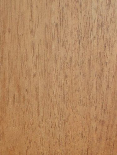 1/2" to 3"x500' Mahogany non glued unfinished wood veneer edgebanding 