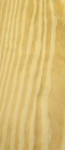Pine Southern Carolina Yellow Wood Edgebanding 1.125 X 120 With Adhesive Glue