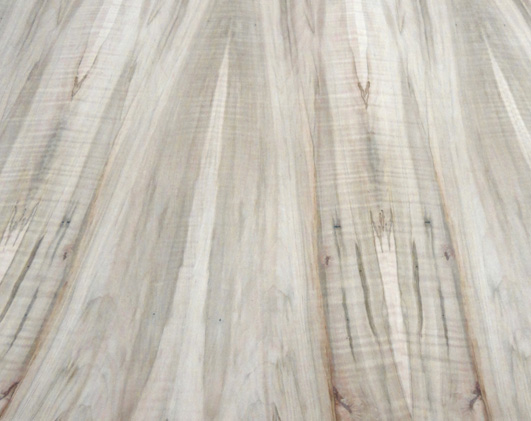 Spalted Maple Ambrosia Wormy Figured Fiddleback wood veneer 11" x 126" raw 1/42" 