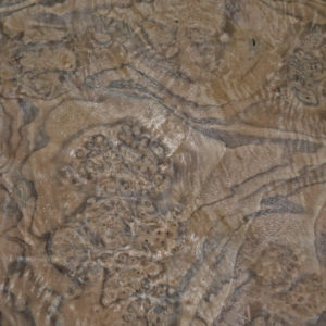 AAA Walnut Burl Veneer Lot 14 x 15.5 7 Sheets Per Lot