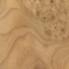 Elm Carpathian Burl Wood Veneer Sheet A Grade