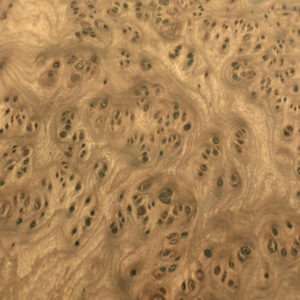 Elm Carpathian Burl Wood Veneer Sheet AAA Grade