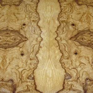 Ash Burl Raw Wood Veneer Sheets 7.25 x 14 inches 1/42nd              IFPa7368-18 