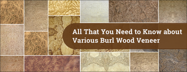 All That You Need to Know about Burl Wood Veneer