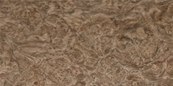 Walnut Burl Wood Veneer